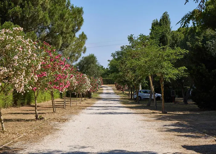 Happy Camp In Costa D\'Argento Camping Village Club Capalbio